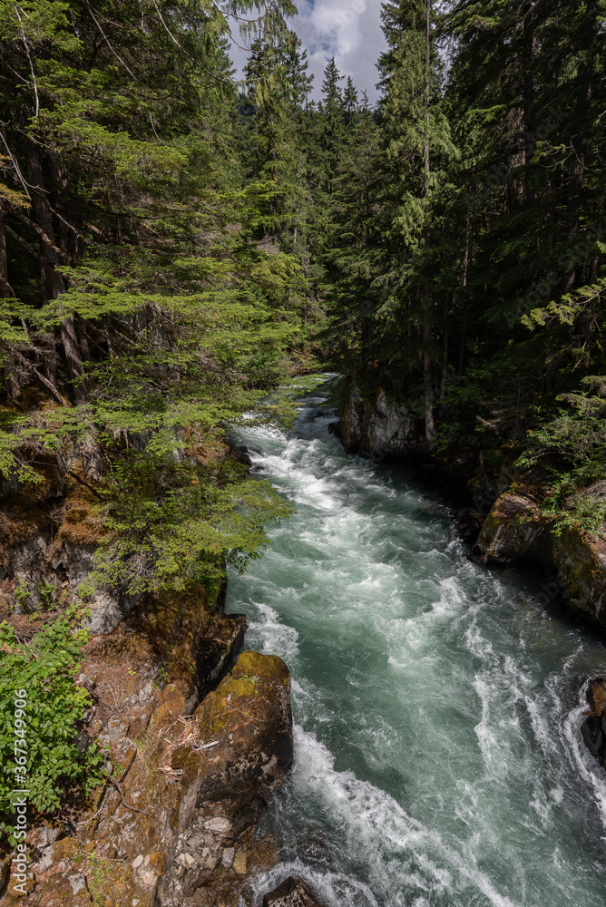 Rapids running through the forest n Canada Rapids running through the forest n Canada