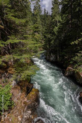 Rapids running through the forest n Canada