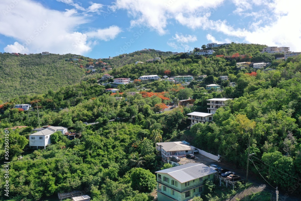 Panoramic view of lush Caribbean mountainside greenery in Saint Thomas, US Virgin Islands