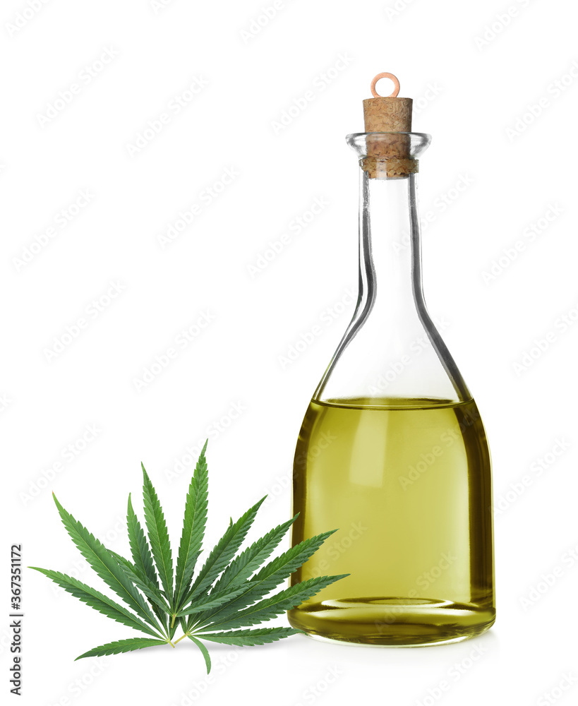 Bottle of hemp oil and fresh leaves on white background