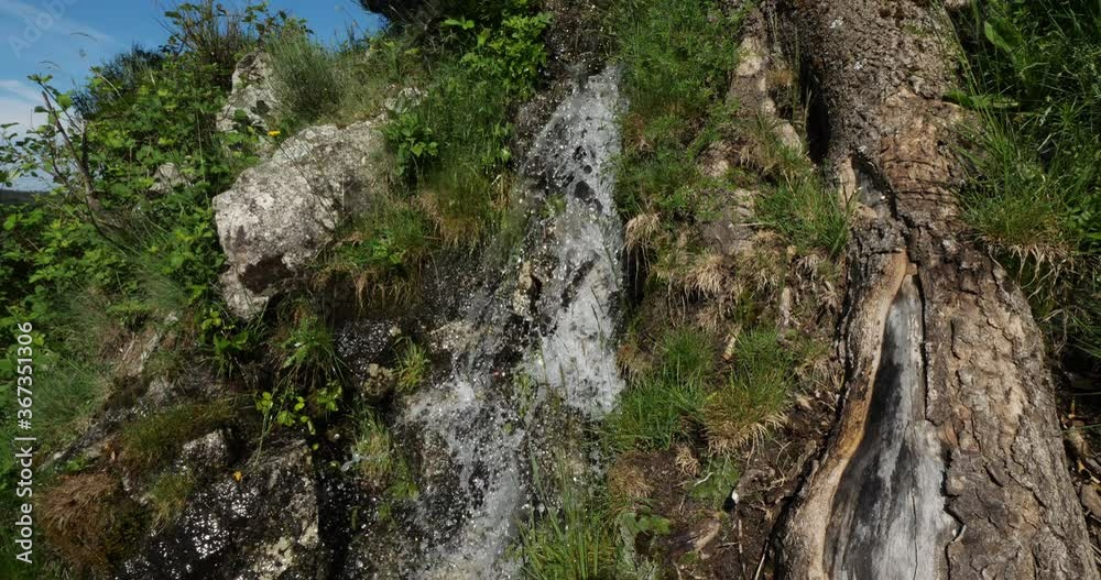Natural spring in the national park of Cevennes, Lozere, France Natural spring in the national park of Cevennes, Lozere, France