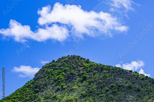 Tree covered mountain against blue sky