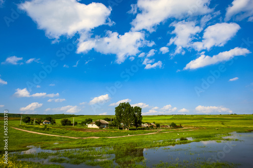 Podobny obraz