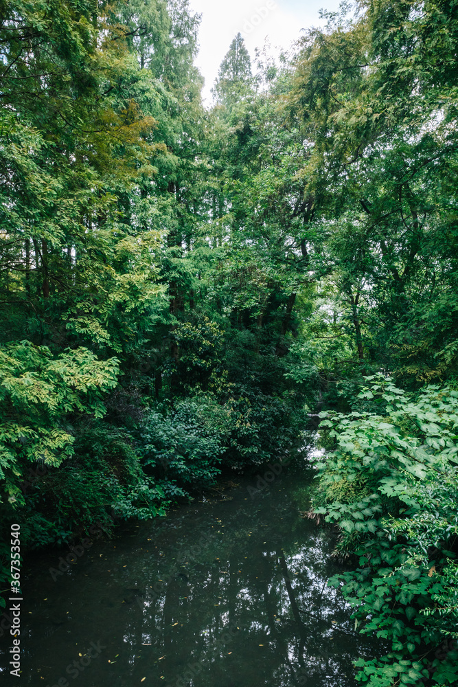 Obraz premium River in West Lake scenic area in Hangzhou, China