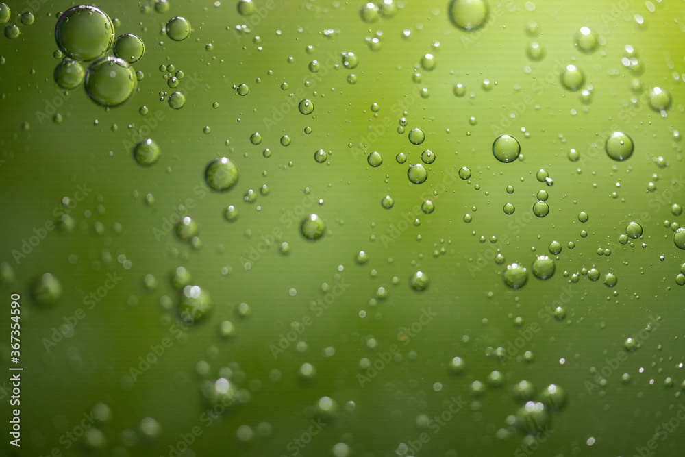 Bubbles With a Green Background