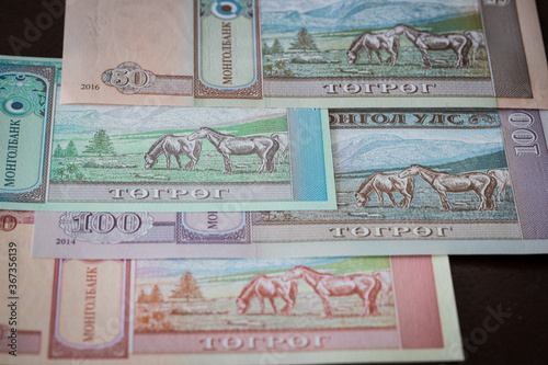 Mongolian currency, Tugrik money, Various banknotes photo