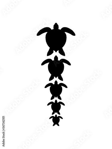Viele Wasserschildkröten Reihe Familie Kinder Mama Papa Logo Meeresschildkröte Schildkröte schwimmen Meer 