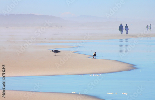 Beach scene with blue and white surf, crashing waves, and smooth sand dunes