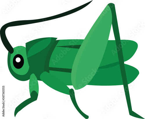 Vector illustration of a locust cartoon photo