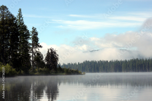 Peaceful water scenes and shorelines with reflections fog and lily pads