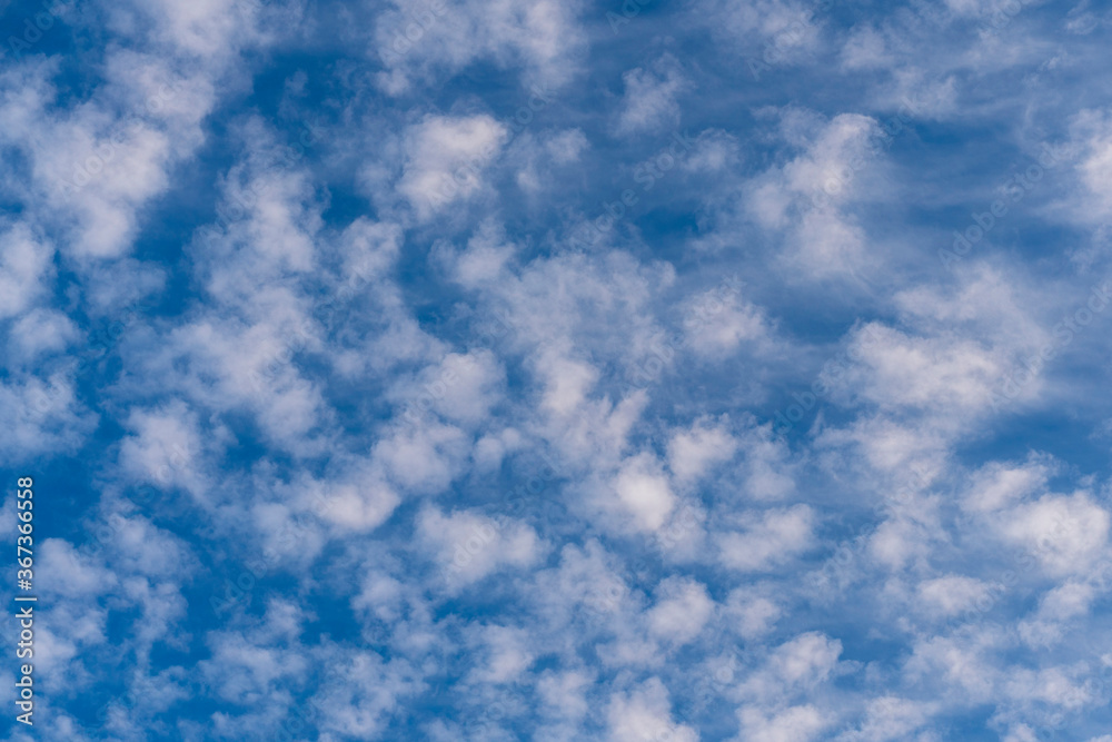 White clouds all over the sky with a blue background of daylight sky. Natural composition of the sky. Design element, background. White clouds all over the sky with a blue background of daylight sky. Natural composition of the sky. Design element, background.