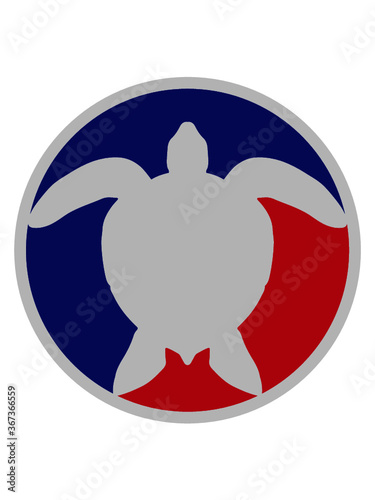 Rot Blau Wasserschildkröte Sport Verein Design