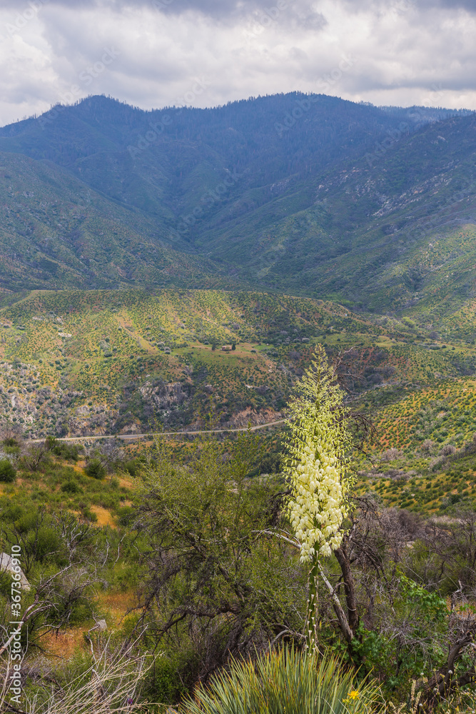 Naklejka premium Junction View Lookout point