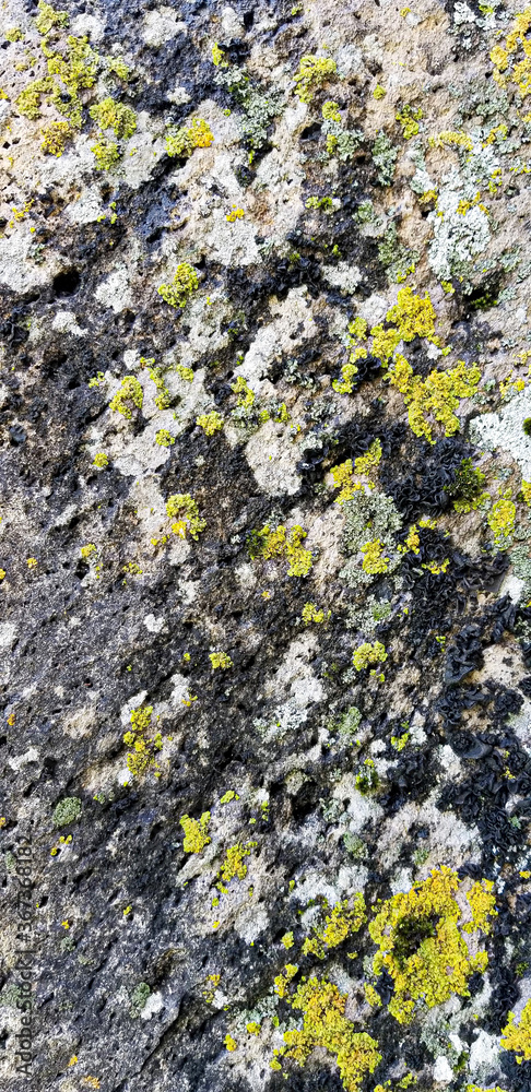 Abstract authentic authentic colored old stones backgrounds Abstract authentic authentic colored old stones backgrounds