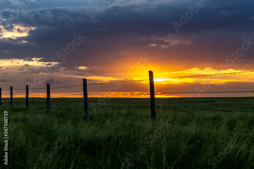 Midwest sunset on farmland