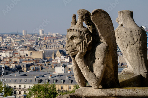 gárgolas, Cathédrale Notre Dame, sede de la archidiócesis de París, Paris, France,Western Europe