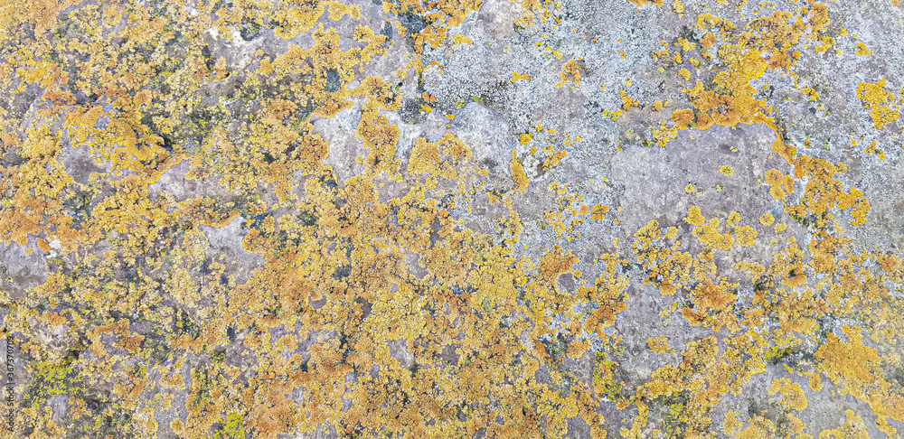 Abstract authentic authentic colored old stones backgrounds Abstract authentic authentic colored old stones backgrounds