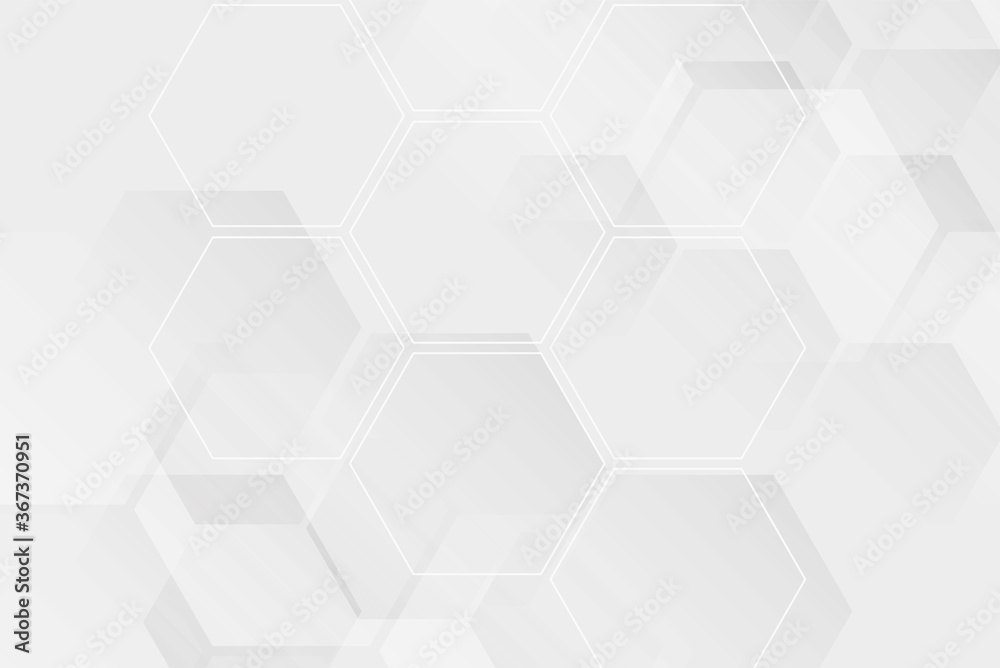 Modern white hexagon design on white background, vector illustration - Vector Modern white hexagon design on white background, vector illustration - Vector