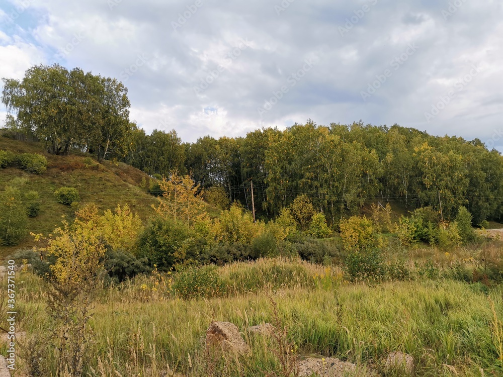 Obraz premium landscape with trees