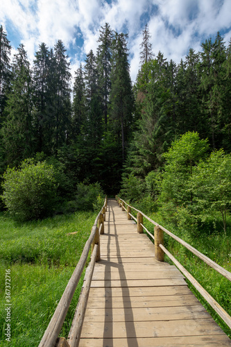 wooden bridge above the creek among the trees. walkway through forest. location synevyr national park, ukraine © Pellinni