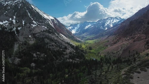 Aerial drone gently descends to the forest near Mount Olsen at Yosemite, California, USA photo