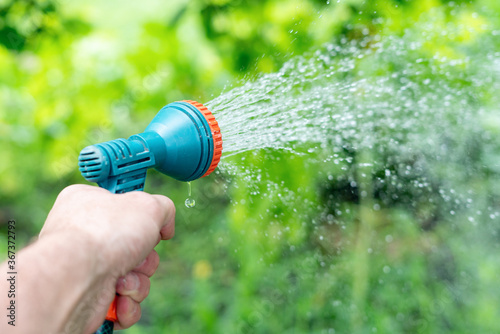 Gardener's hand holds a hose with a sprayer and watered the plants in the garden