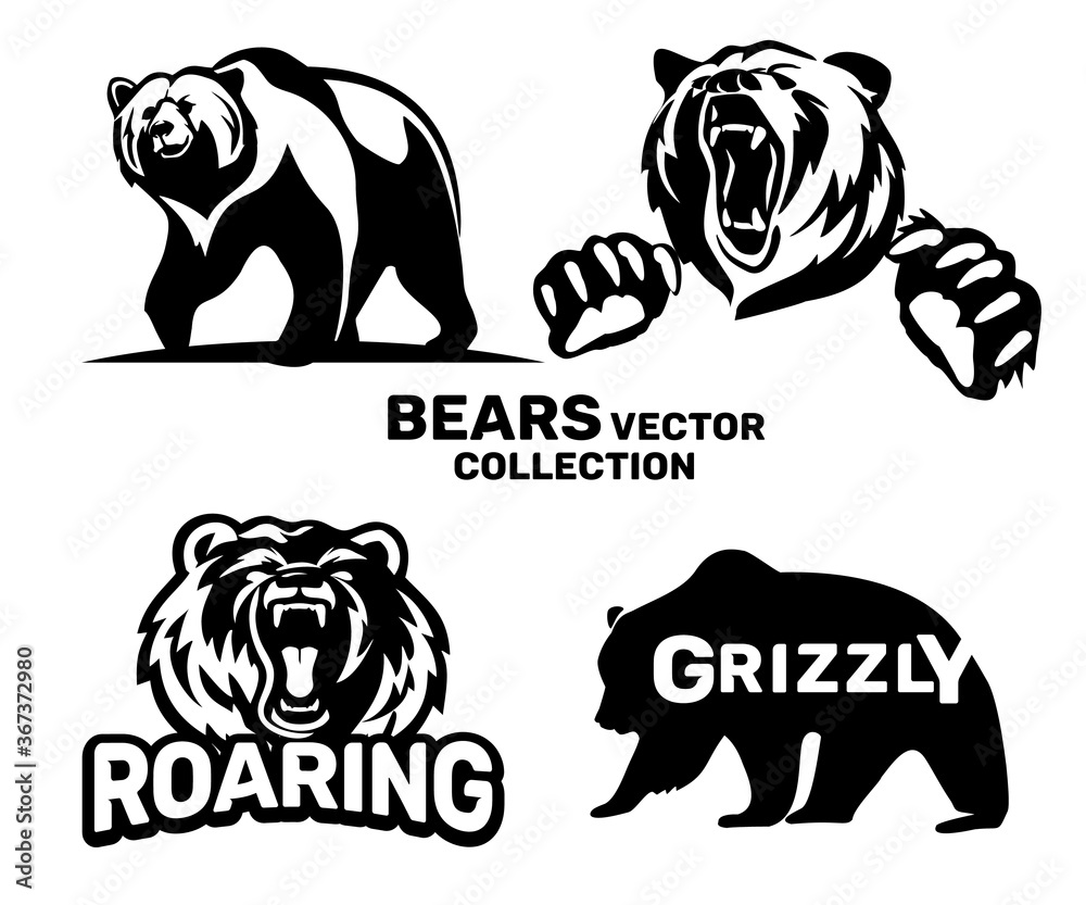 Perth Bears Vector File Bears vector collection. Templates on white background. Illustration ...