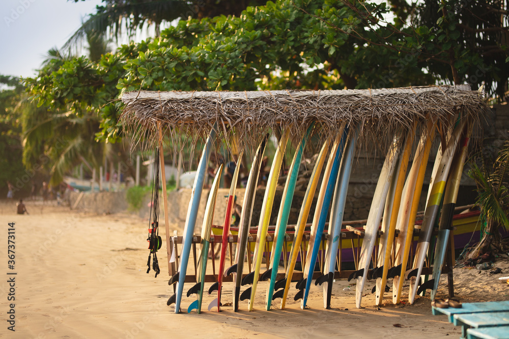 Fototapeta premium Sri Lanka, Galle. Surfboards in warm sunset light against the backdrop of ocean waves. Surfboards on the background of the ocean.