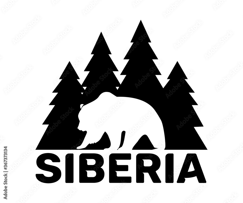 Fototapeta premium Bear logo template on white background. Illustration for print and poster. Typography design.