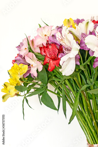 Wallpaper Mural Alstroemeria bouquet of flowers in a vase by the window. Beautiful bouquet of colorful flowers in the apartment by the window. Torontodigital.ca