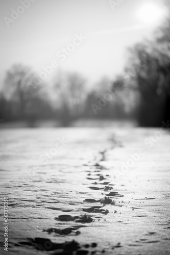 A trail of foot steps through fresh snow