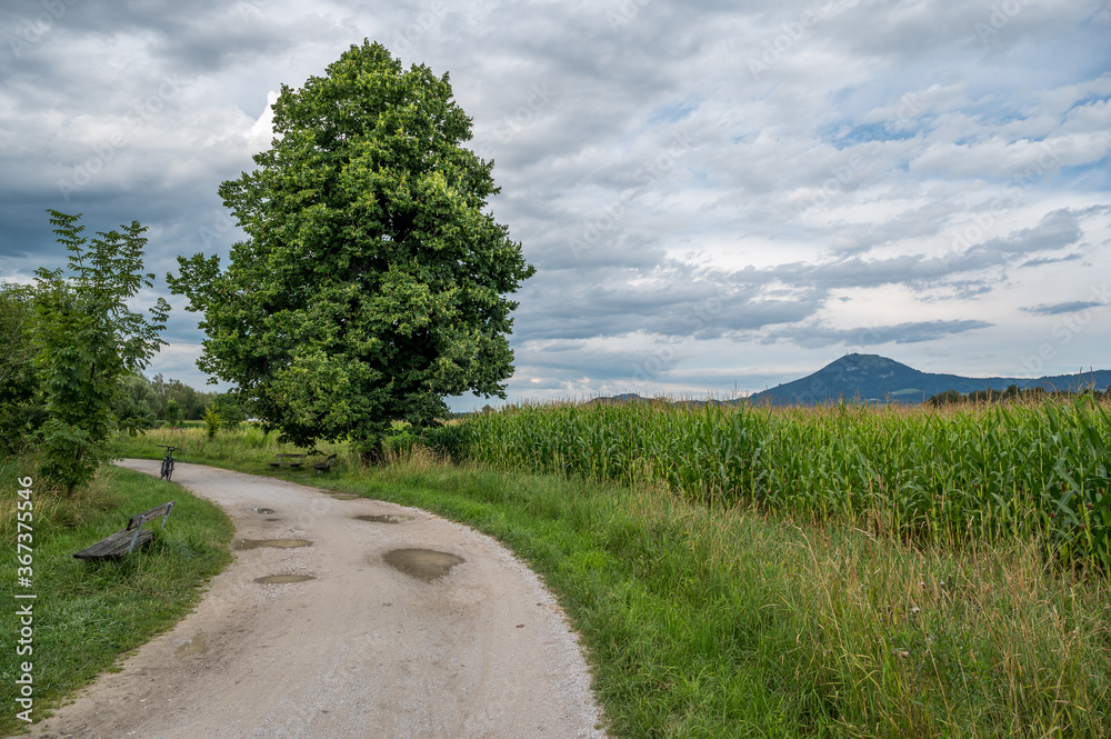 road in the countryside
