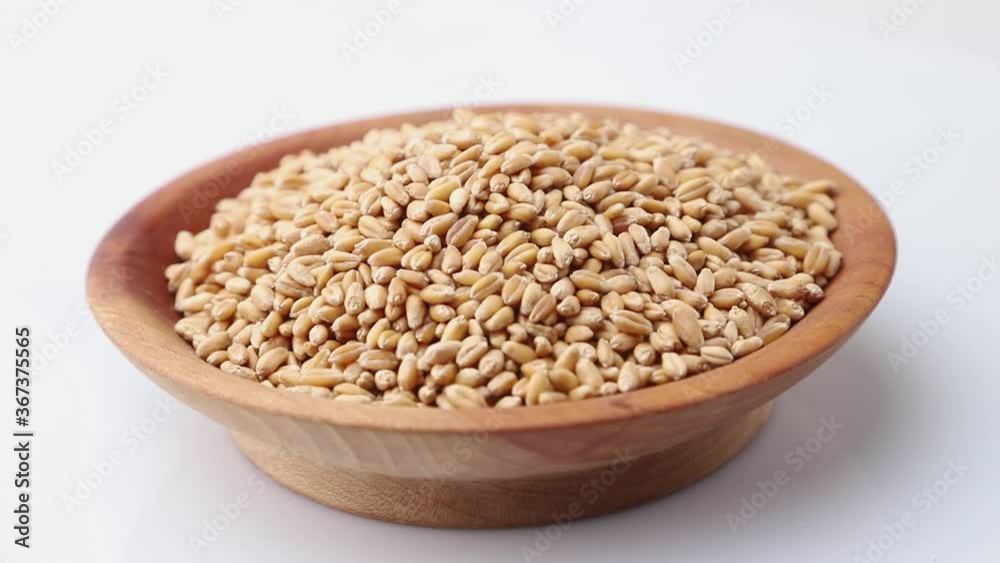 Rotating of wheat grains in wooden plate on white background. Side view, close up. Rotating of wheat grains in wooden plate on white background. Side view, close up.