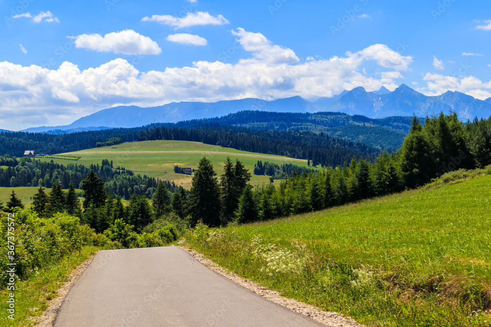 Cycling road from Kacwin to Lapsze Nizne village in Tatra Mountains on beautiful summer sunny day, Poland