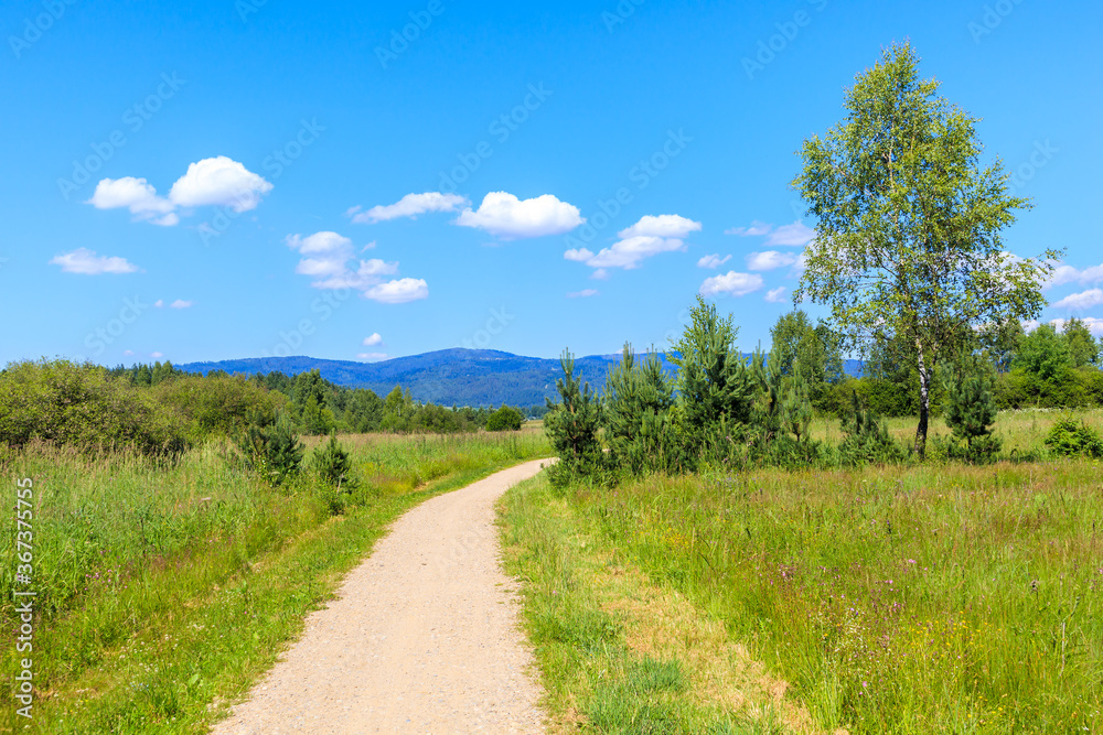 Cycling trail In Czerwony Bor Nature Reserve near Nowy Targ town on sunny summer day, Tatra Mountains, Poland Cycling trail In Czerwony Bor Nature Reserve near Nowy Targ town on sunny summer day, Tatra Mountains, Poland