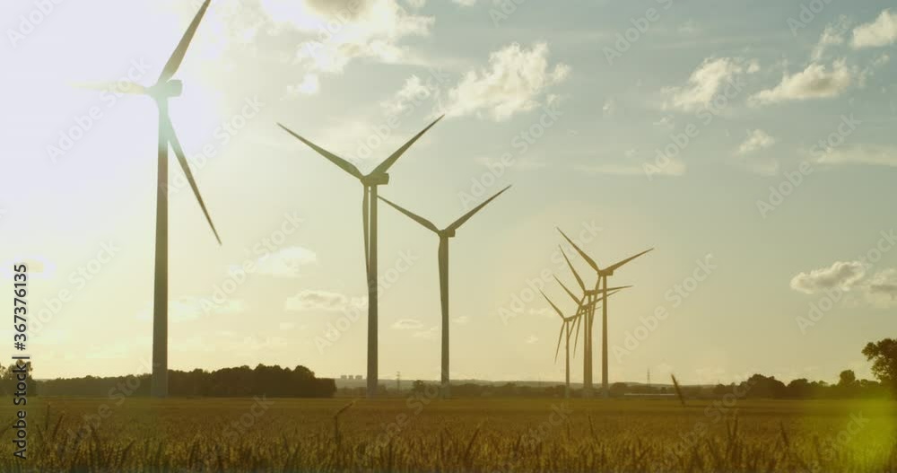 Very beautiful sunset in a wheat field with a windmill farm. Windmills for electric power production Very beautiful sunset in a wheat field with a windmill farm. Windmills for electric power production