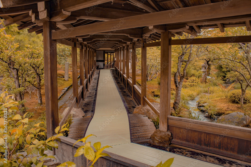 Fototapeta premium Autumn