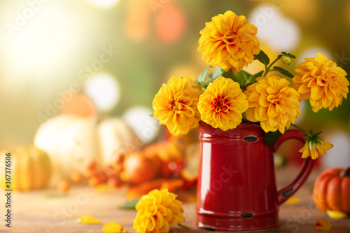 Fotografia Autumn floral still life with beautiful yellow dahlia in vintage red jug and pumpkins on the table