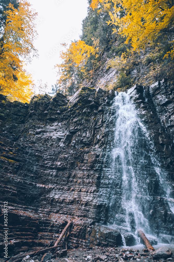 autumn forest waterfall landscape view