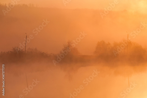 Sunrise over foggy lake. Canes on foreground on the lake coast. Sun is rising up over the trees on the further river bank.