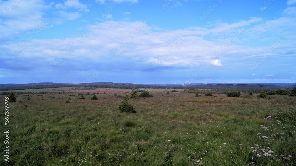 Paysage des fagnes