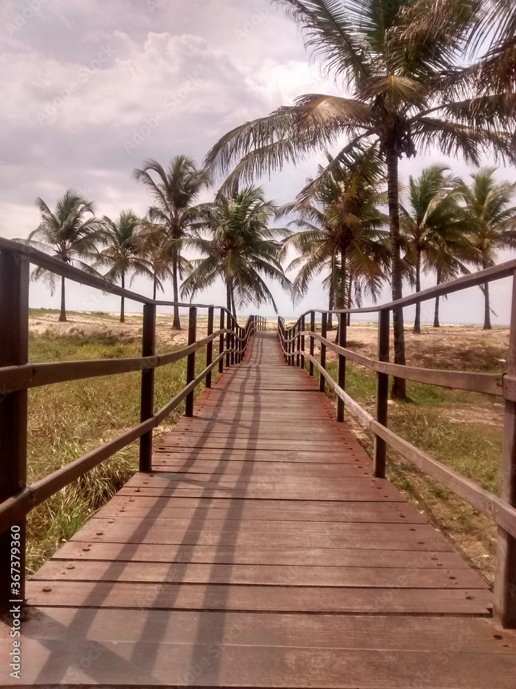 path to the beach path to the beach