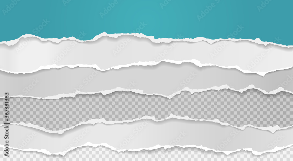 Pieces of torn white turqoise horizontal paper with soft shadow are on squared background for text. Vector illustration