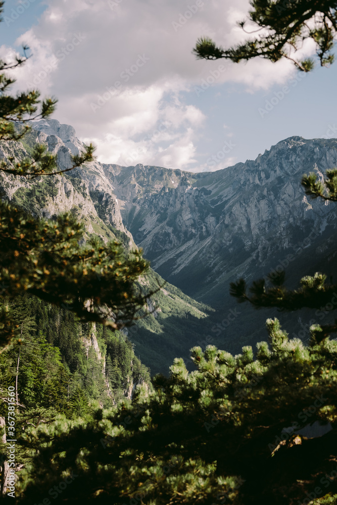 mountains landscape scenery view. Beautiful landscape panorama with pine trees. Montenegro, Durmitor. 