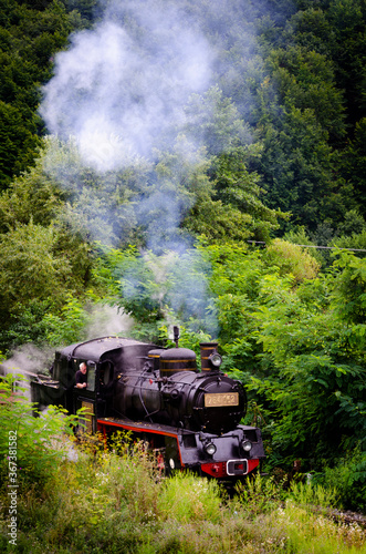 Old steam engine black and red in a green forest front view
