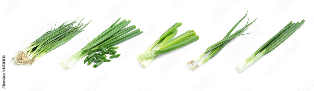 Collage with green spring onions on white background. Banner design Collage with green spring onions on white background. Banner design