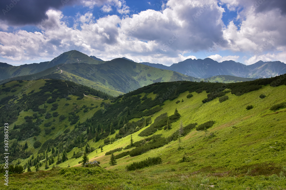 Dolina Chochołowska - widok z góry Grześ na Tatry Rohackie