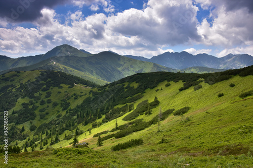 Fototapeta Naklejka Na Ścianę i Meble -  Dolina Chochołowska - widok z góry Grześ na Tatry Rohackie