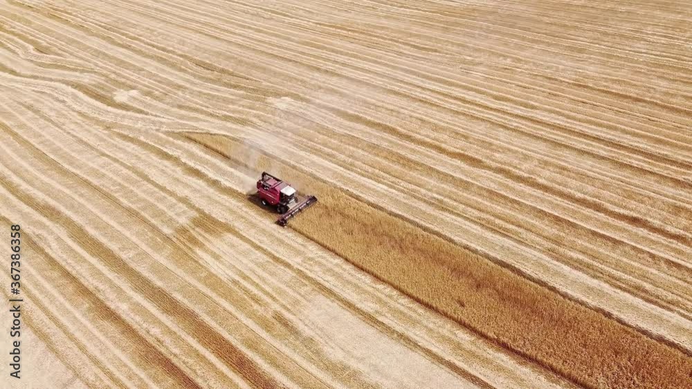 Aerial view. Combine harvester goes on the field. Wheat field has been harvested Aerial view. Combine harvester goes on the field. Wheat field has been harvested