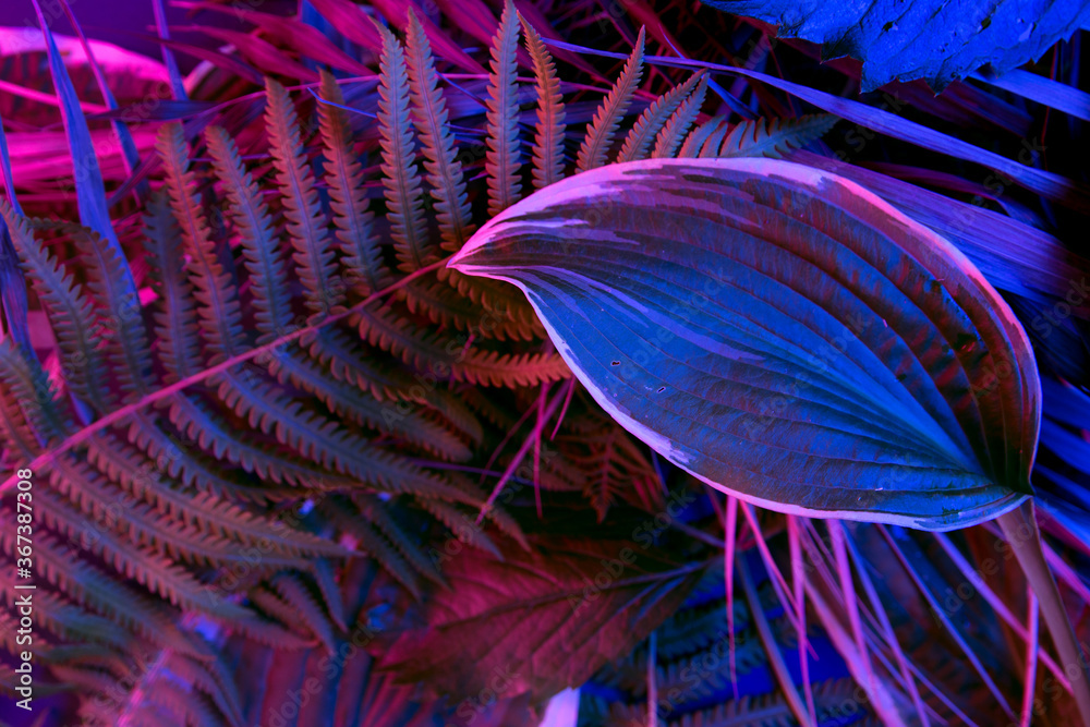 Obraz premium tropical leaf forest glow in the dark background. High contrast.
